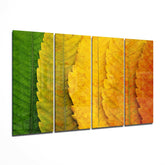Autumn Leaves 4 Pieces Mega Glass Wall Art (59"x36") | Insigne Art Design.